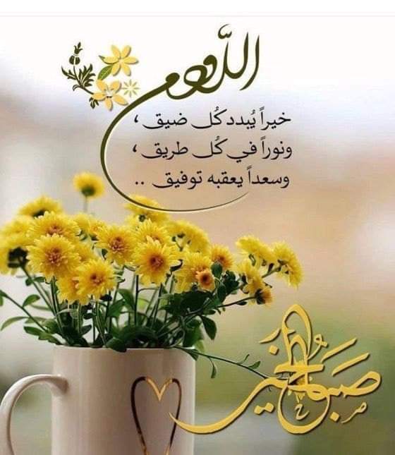 nidalaboahmad's tweet photo. https://t.co/Eu0NvnsZjX