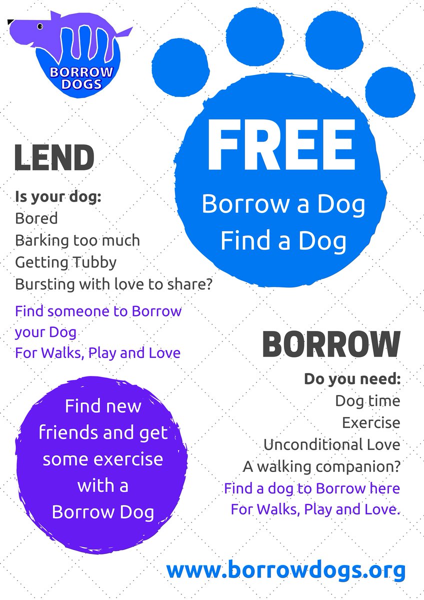 Borrow Dogs tweet media