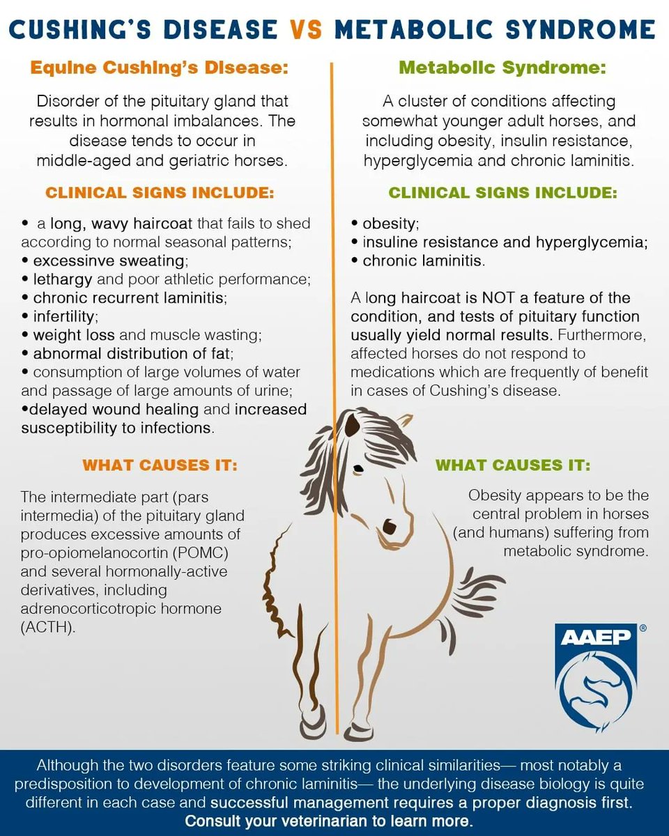 wififrom (teletubbsdongle) Twitter