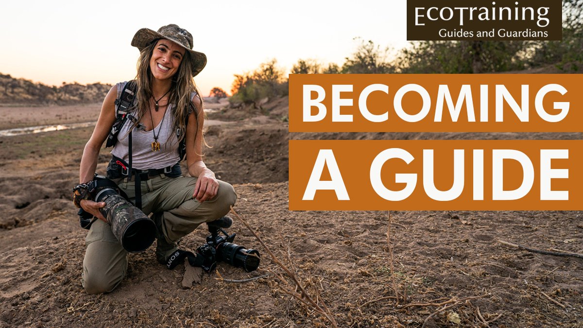 EcoTraining's tweet photo. Watch our latest video! We met up with Tere Abumohor after she completed her EcoTraining 55-day Field Guide course.
Watch Tere in this video as she describes what the 55-Day Field Guide course meant to her.
https://t.co/IvhFKXkGYN
#guide #guiding #EcoTrainingcourse https://t.co/6SZ3gcDLp8