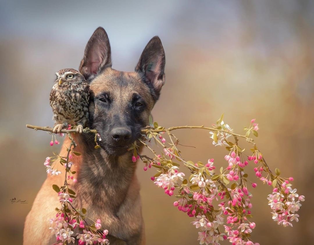 Jeanette tweet media