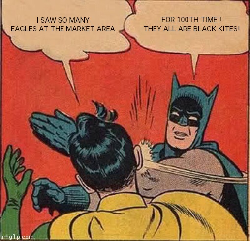 kaadupapa's tweet photo. Decades back, initial days of birding... surely felt like doing this
#birds #birdmeme #birding #birding_meme #indiabirds https://t.co/9ZXlQkq5o9
