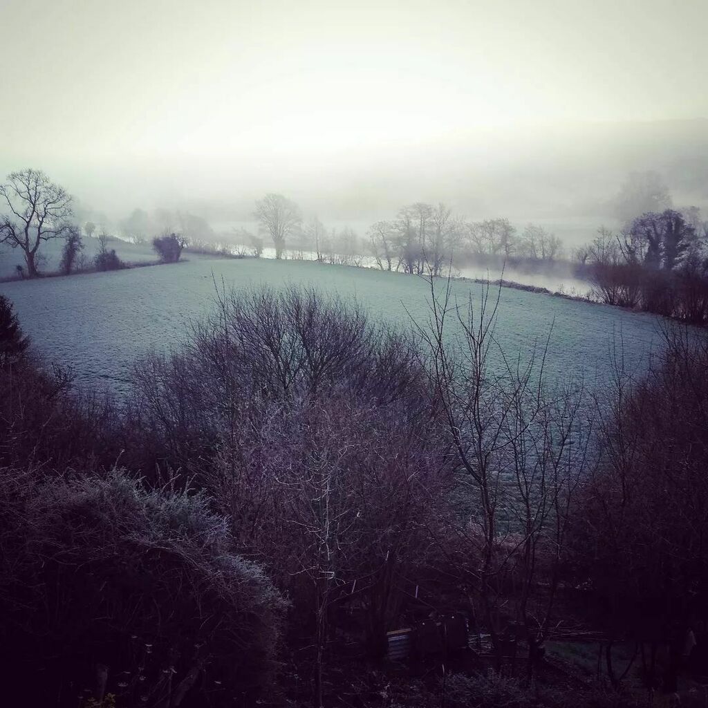 It's been a while!

Apart from working full-time over the past two years, I think I just needed a little break.

I haven't forgotten any of you and thank you for sticking around. 💕

Hope to start being more active on here in a relaxed way, without pu… instagr.am/p/CYtXKGUN3_d/