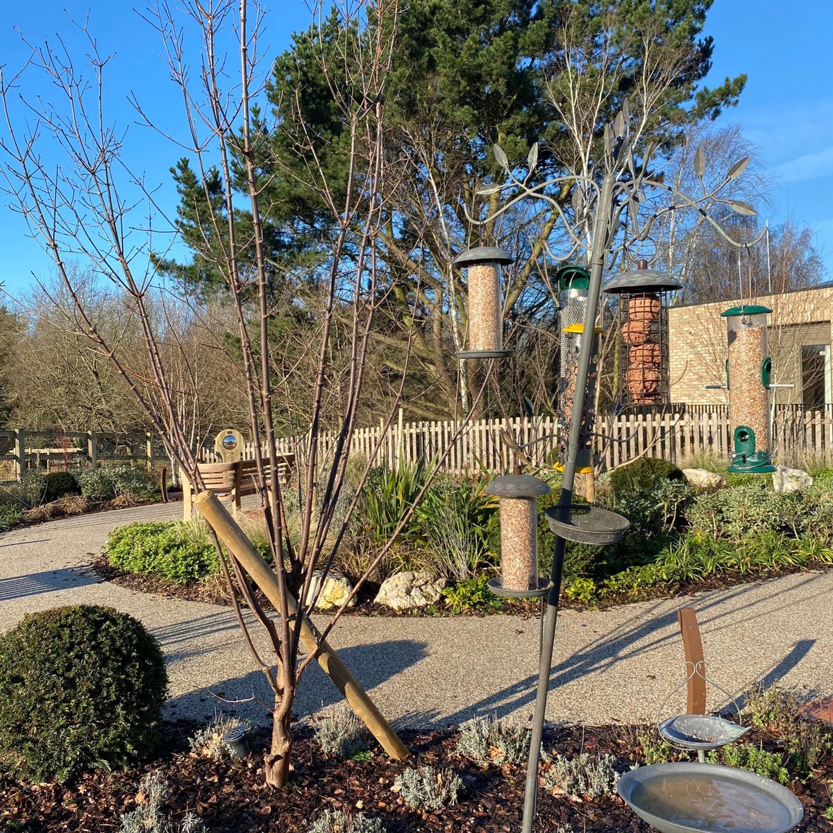 NoahsArkHospice's tweet photo. The birds around The Ark are very happy with the latest addition to the Sensory Garden! ๐ฆThank you so much to @Gardenstorenews for your wonderful donations of Bird Feeders.
#hospice #sensorygarden #gardensoflondon https://t.co/tGMmLxk9hn