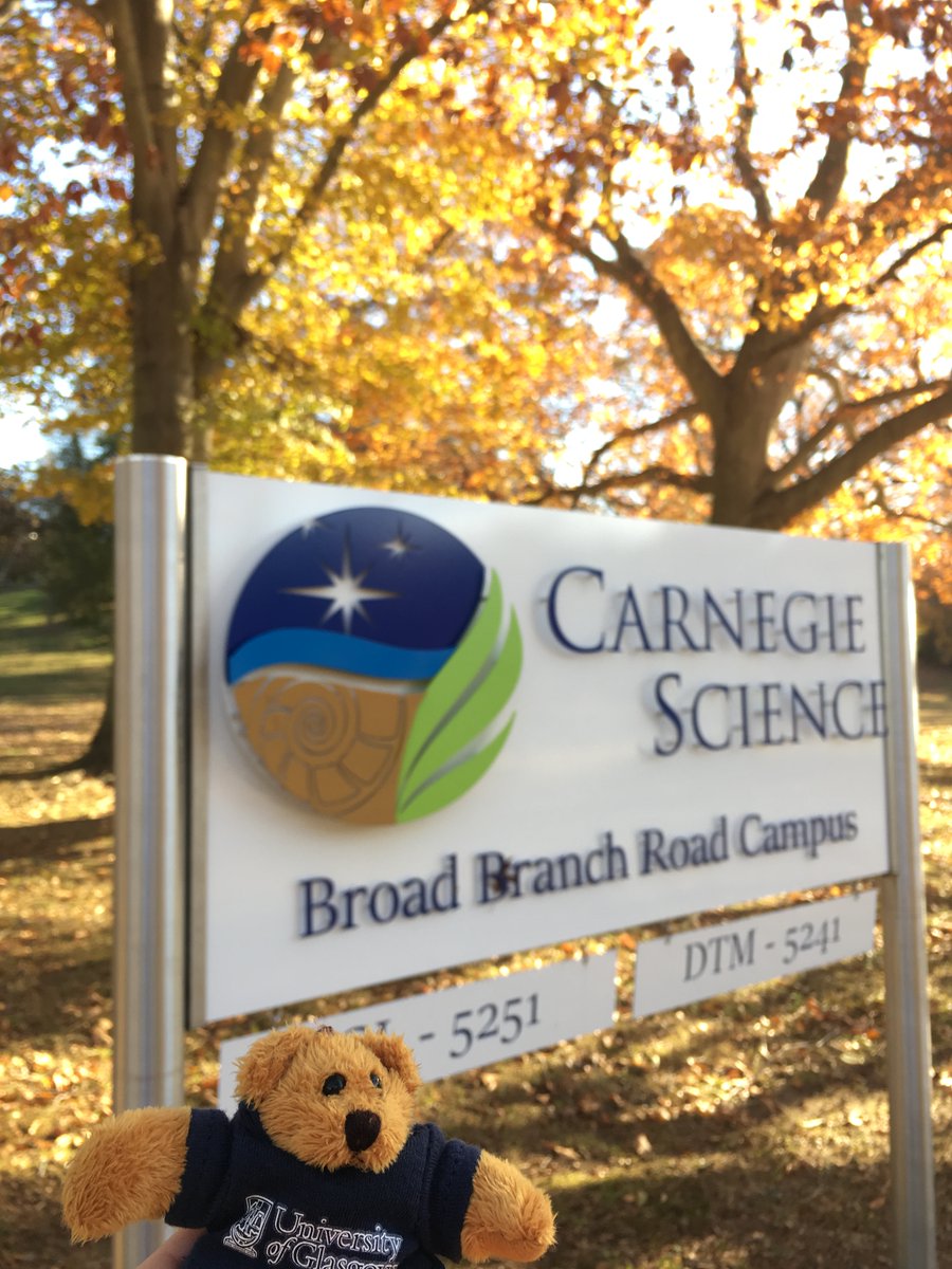 PhD student <a href="/aineclareob/">Dr. Áine O'Brien</a> &amp; Lydia Hallis are authors on new <a href="/sciencemagazine/">Science Magazine</a> paper today with colleagues at <a href="/carnegieplanets/">Carnegie Earth & Planets Laboratory</a>  Paper sheds light on the formation of organic matter in martian meteorite ALH84001 after experiments in DC and at <a href="/diamondlightsou/">Diamond Light Source</a> science.org/doi/10.1126/sc…