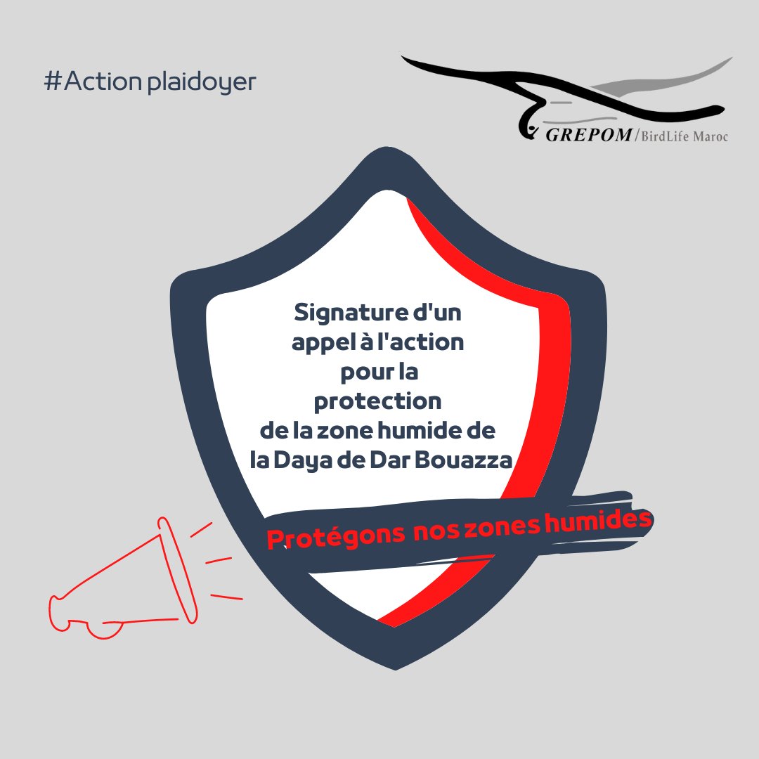 GREPOMBirdlife's tweet photo. Un projet immobilier met en péril un patrimoine naturel très important "la Daya de Dar Bouazza" dernière -zone humide littorale naturelle de la région de Casablanca-Settat-.
#actionplaidoyer
#grepom
#birdlife
#grepombirdlifemaroc https://t.co/PRBzaq71pM