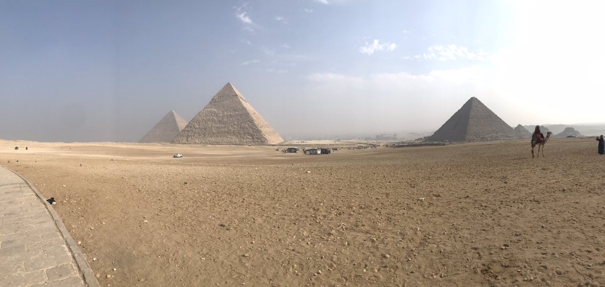 knknk@慢性妊婦 tweet media