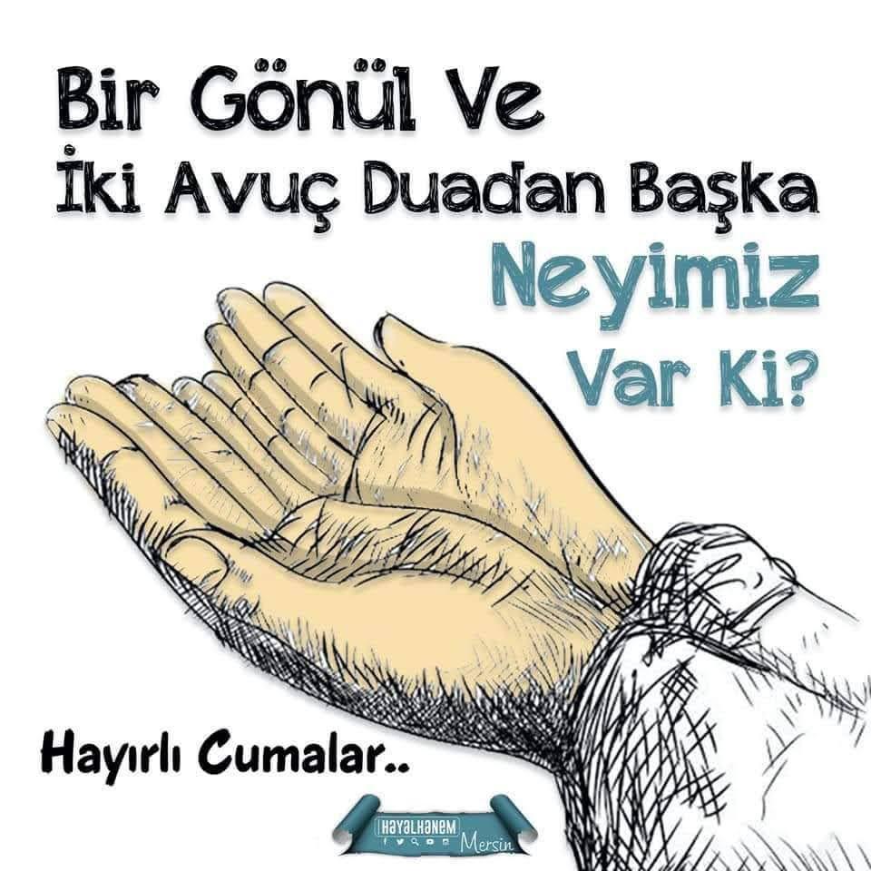 Ertan ŞAHINOĞLU (@ertansahinoglu) on Twitter photo 