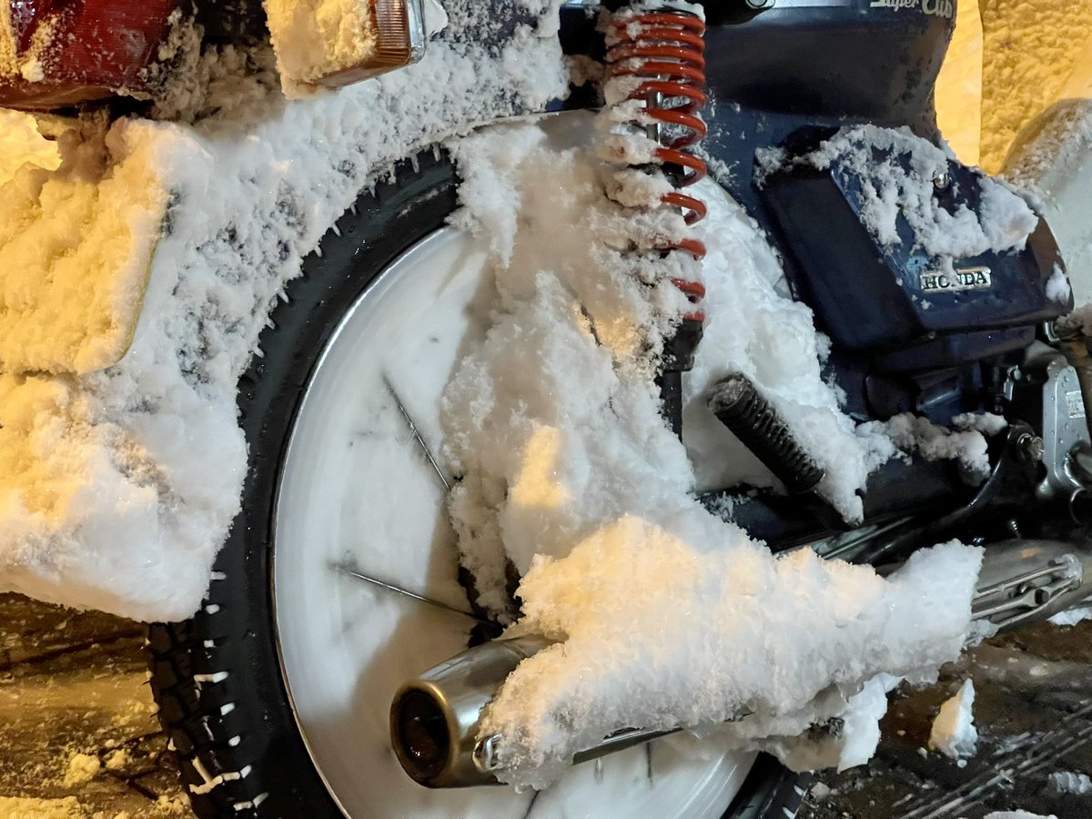 毎日新聞 綾部販売所 tweet media