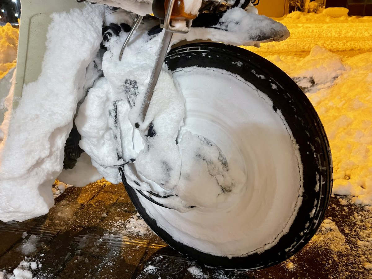 毎日新聞 綾部販売所 tweet media