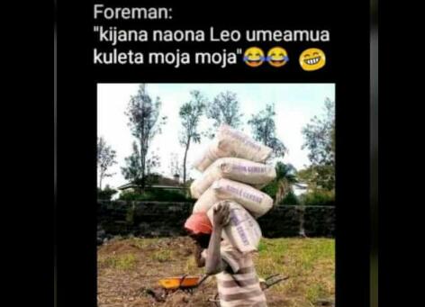 MajorOption's tweet image. 