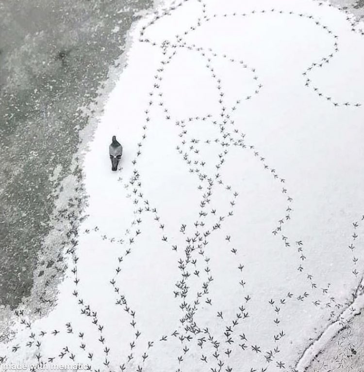 How reading for a lit review feels 

<a href="/OpenAcademics/">OpenAcademics</a>