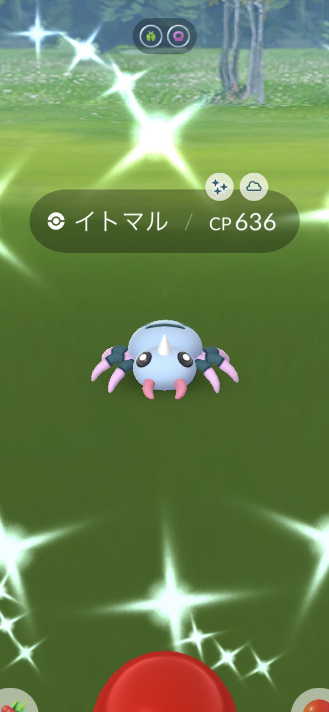 オムスター Flute Cafe ポケgo青lv 44 色違いイトマル初get カラーリングすごく良い 沢山色違いgetしたい ポケモンgo イトマル ポケモンgo色違い T Co Yhpzzwlsvs Twitter