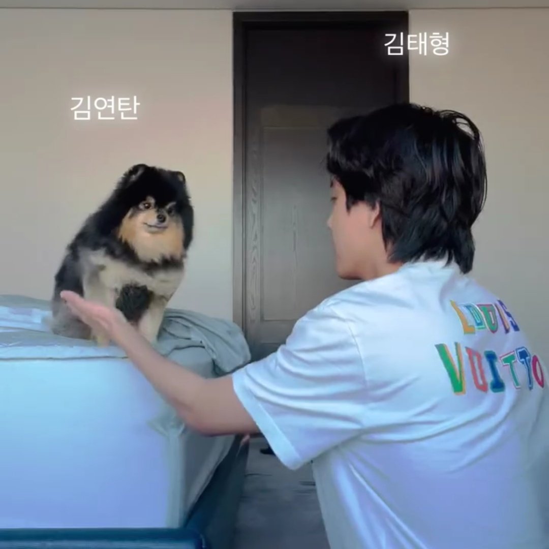 sof_start's tweet image. Ооооо😭😭🖐🏻

Это так мило, раздирает душу и сердце. Когда ты устал, заходишь  в сеть и наслаждаешься их взаимодействиями😭💖