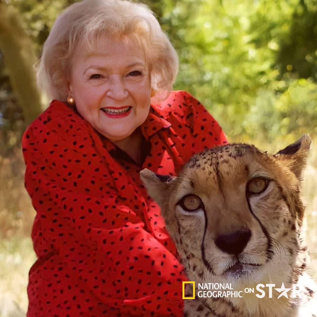 DisneyStarUK's tweet photo. 🚨 | National Geographic on Star UK: #BettyWhiteGoesWild is now streaming only on @DisneyPlusUK! https://t.co/Abpz6EFiNQ