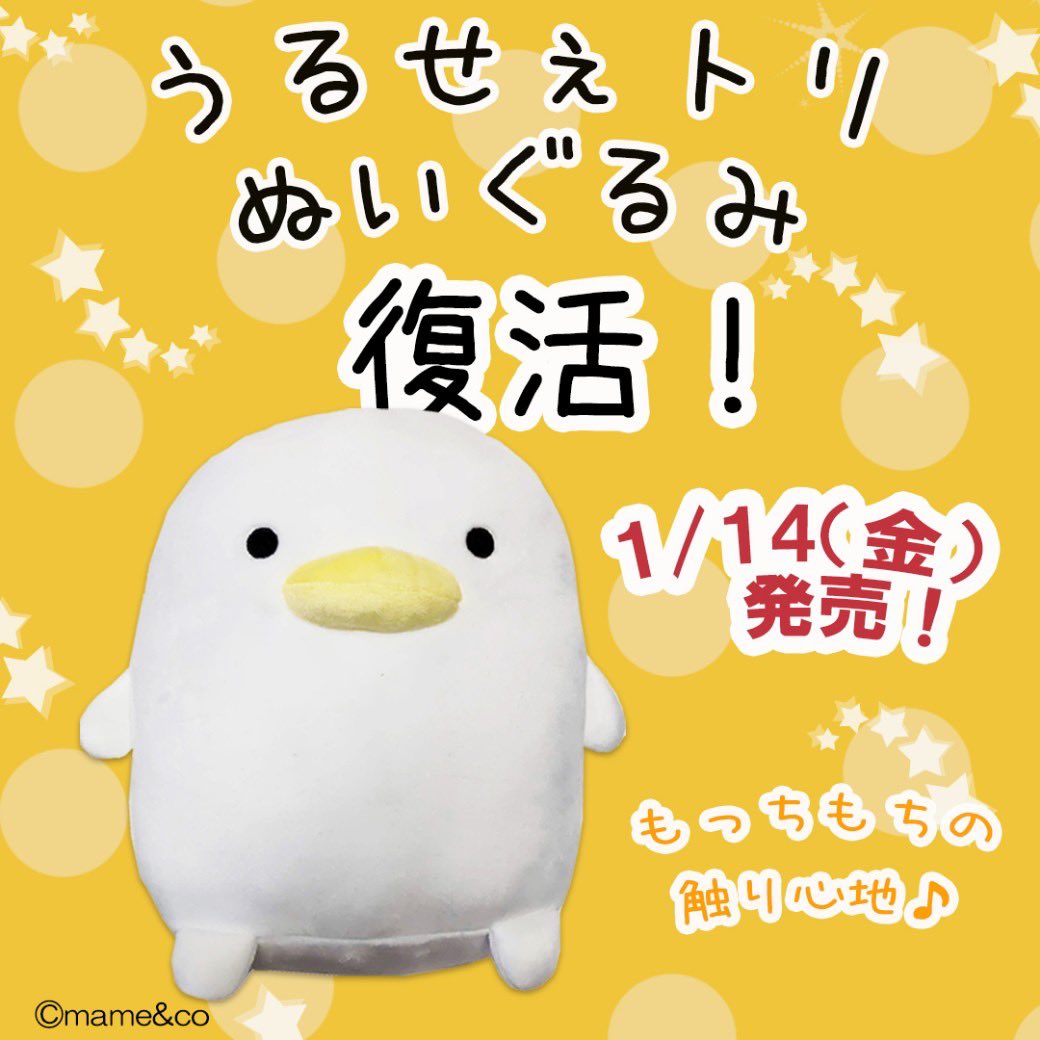 Mame Co まめあんどこー Mame And Co Twitter