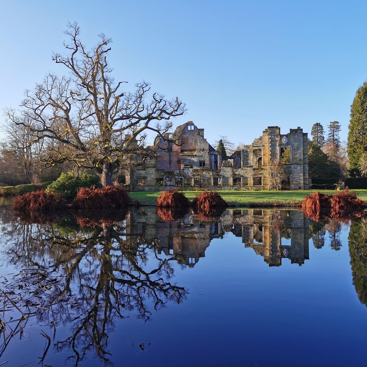 National Trust South East tweet media