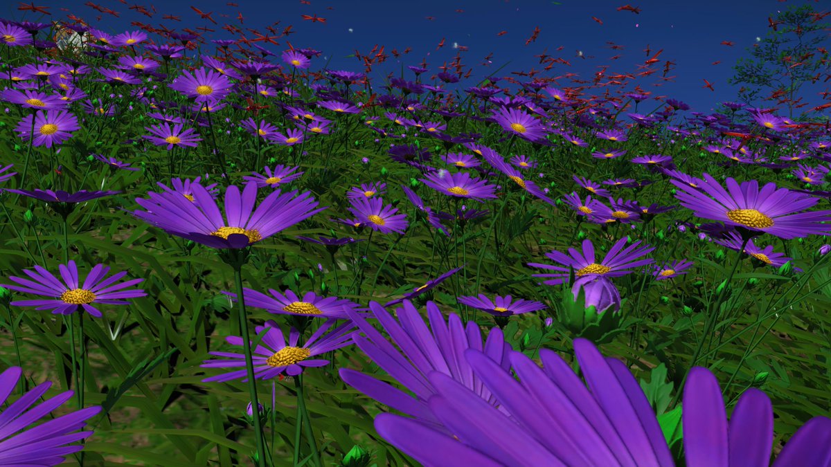 HighExceL's tweet image. #GhostOfTsushima  #PS5Share, #GhostofTsushima