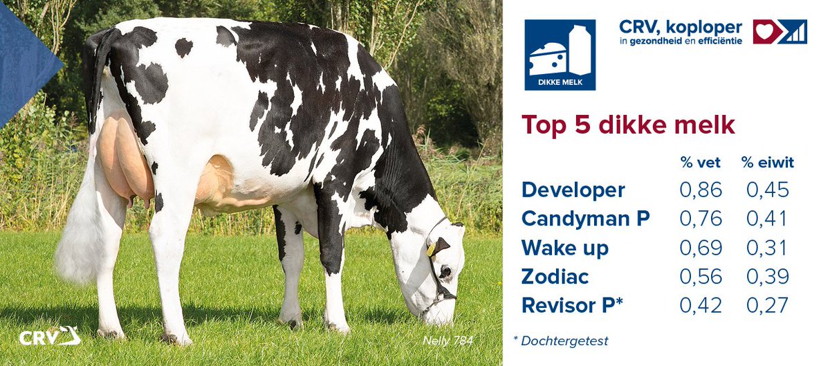 CRV4all's tweet photo. 𝐂𝐑𝐕'𝐬 𝐤𝐞𝐮𝐳𝐞 𝐯𝐨𝐨𝐫... 𝐡𝐨𝐠𝐞 𝐠𝐞𝐡𝐚𝐥𝐭𝐞𝐧📈 
Hoge gehalten (dikke melk) leveren niet alleen direct meer melkgeld op, maar zorgen indirect ook voor een hogere (fosfaat)efficiëntie. #productie #dikkemelk #gehalten #efficiëntie. https://t.co/3vXytQfrcH