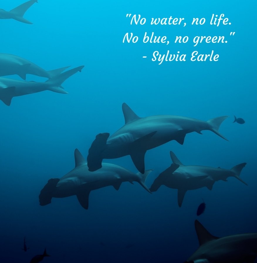 khushivasishtha's tweet photo. We will make your world spotless.We are your key to clean.🏖️🏝️
#puneetsagarabhiyan
#oceancleaning          #oceanlife.#savetheplanet.
#worldcleanupday.#noplastic.
#oceans.#cleanup.#oceanlove
#ncc #india #jaihind #indiancc #delhi #plasticfreeliving
#daulatramcollage
#1dgbnncc https://t.co/pBMwzwInK8