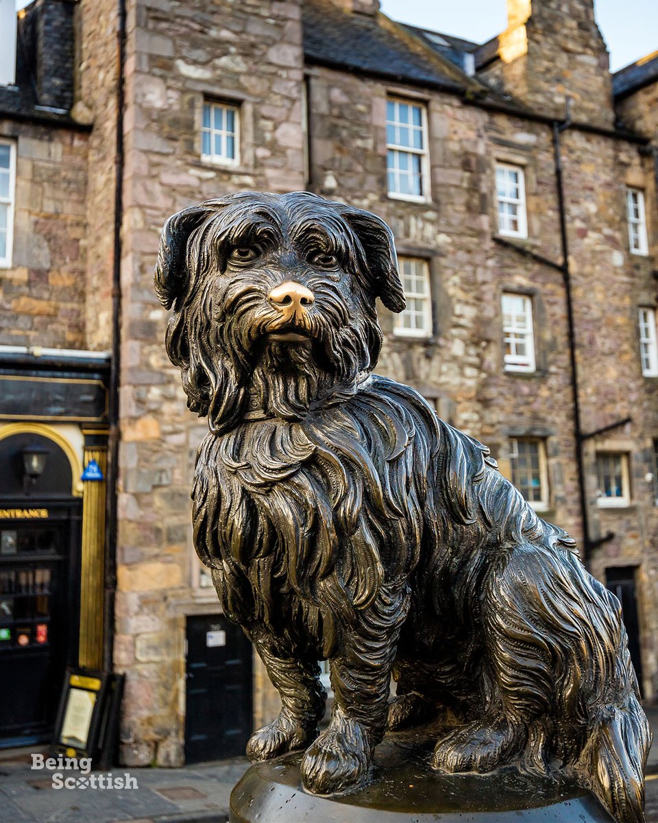 On this day in 1872, Greyfriars Bobby died. A special wee dug. The story is when his master, John Gray, died in 1858 he was buried in Greyfriars Kirkyard in the Old Town of Edinburgh. Bobby then spent the rest of his life (14 years!) sitting on his master's grave. Some dug that!