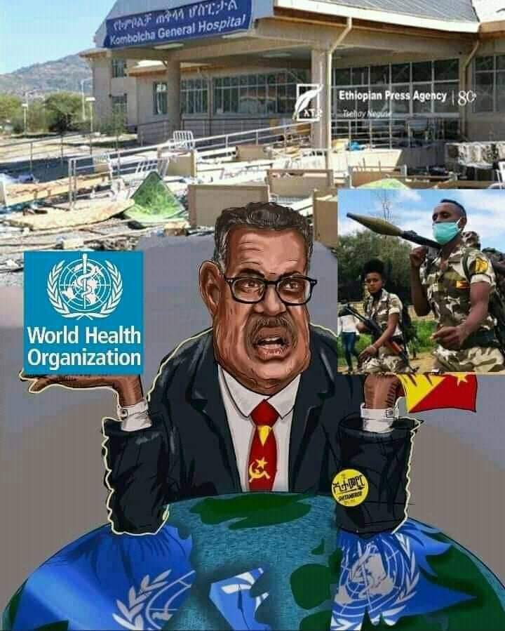 QueenBezyee's tweet photo. Turning a blind eye to Tedros' use of his authority to pursue his political interests in destabilizing Ethiopia, a founding member of the UN, is a flagrant disrespect to the Ethiopian people. #NoMore #RemoveDrTedros @SenateDems @POTUS #BreakTheSilence https://t.co/uZvKmKE2MU