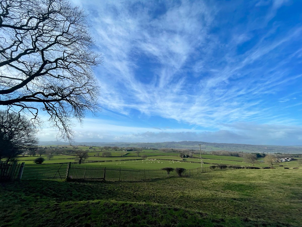 Mr Francis tweet media