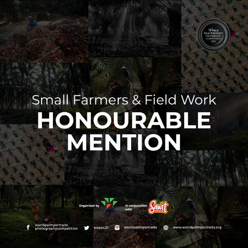Kudos to the Honourable Mentions for the Small Farmers and Field Work theme: 
Indeed, all photo entries were breathtaking great work! 
orldpalmportraits #palmportraits #palmportraits2021 #wpppc #wpppc2021 #worldpalmportraits #sawit #sawitanugerahtuhan #sawitdivineblessing