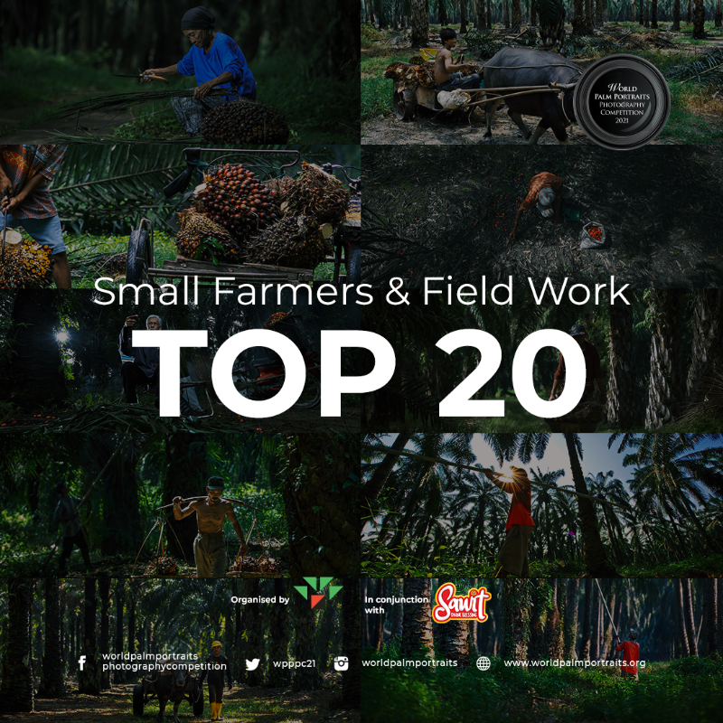 Let’s give a big round of applause to the Top 20: 
Yusuf Madi (Malaysia)
Wisnu Yudowibowo (Indonesia)
Sofyan Efendi (Indonesia)
Redzuan Bohari (Malaysia)
Mohd Hafizan bin Ilias (Malaysia)
Kusuma Wijaya (Indonesia)
Ee Long Tan (Malaysia)
Dikye Ariani (Indonesia)