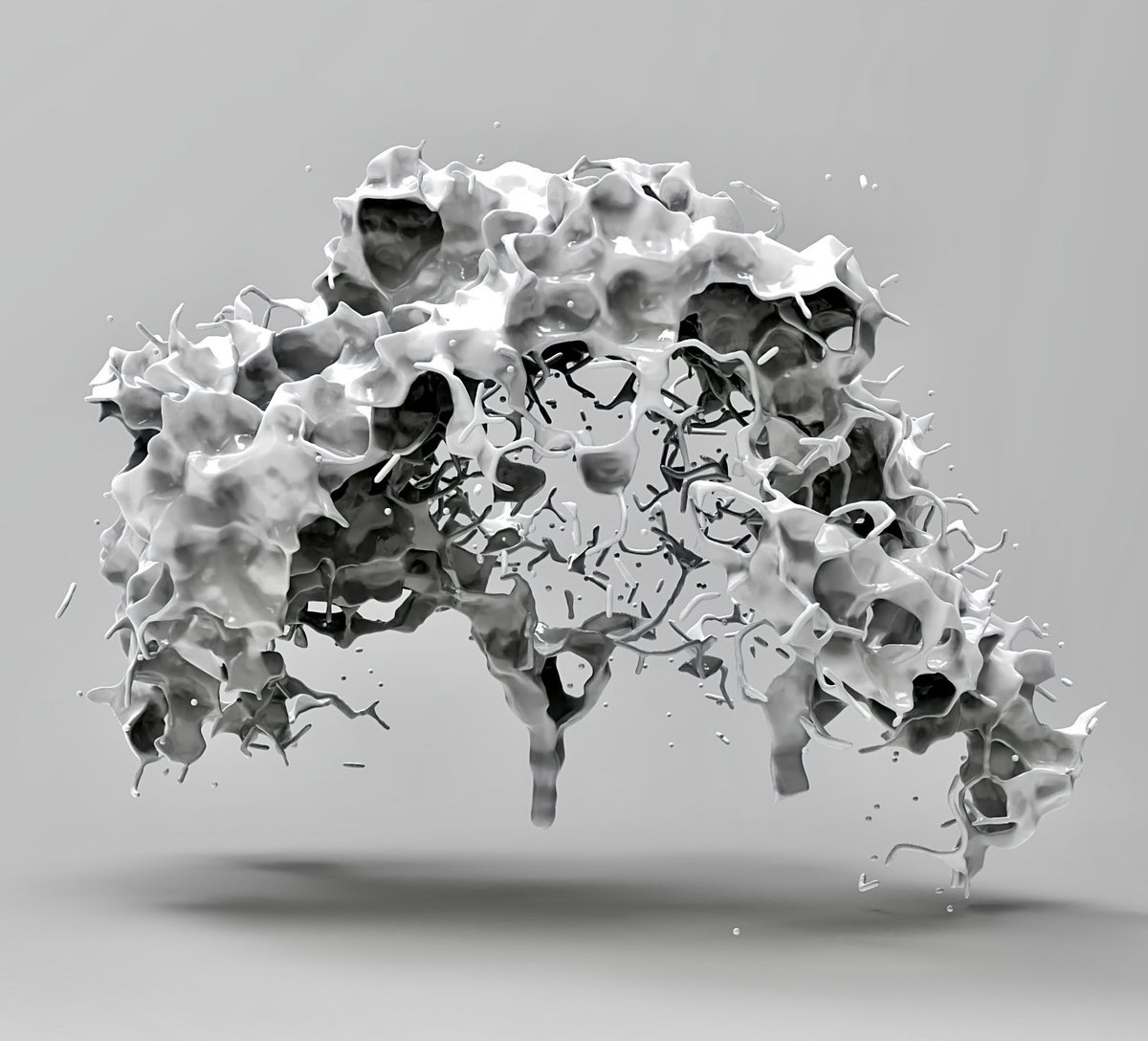 Yves Peitzner tweet media