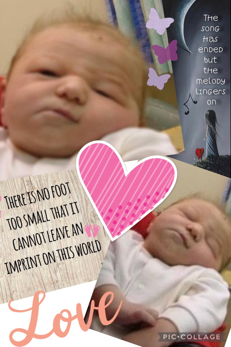 OwenCath75's tweet photo. Happy 17th birthday to my beautiful Iwan Thomas. You taught us so much in your little time with us. Always in our hearts. Love you little man xxxx💙⭐️🌈 https://t.co/K1uj8tLvnI