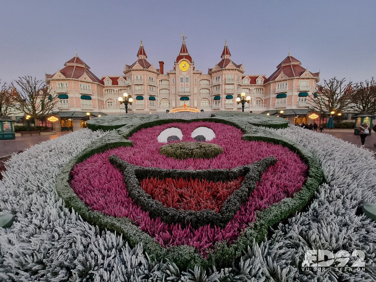 ED92Magic's tweet image. Hello everyone! We wish you a happy Friday ✨😃