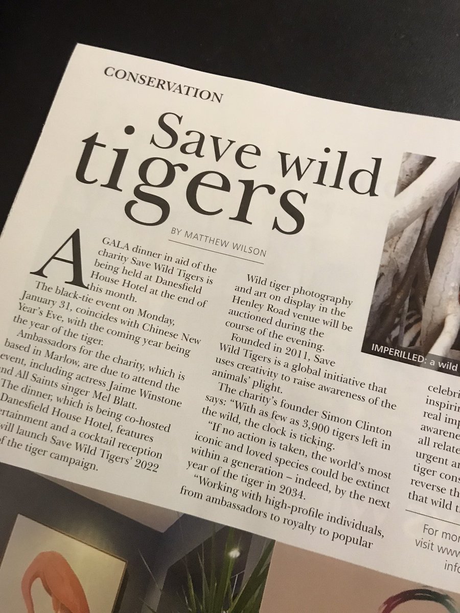Danesfieldhouse's tweet photo. Thank you so much @HenleyLifeMag 🙏 The ⏰ is ticking 🐅
To kick off the Chinese New #YearoftheTiger’, join us in supporting @SaveWildTigers & celebrating one of the world’s most iconic species that could be #extinct #inyourlifetime! 🙈 🐅
Simon 07786 544333 #conservation https://t.co/9STWNVip17