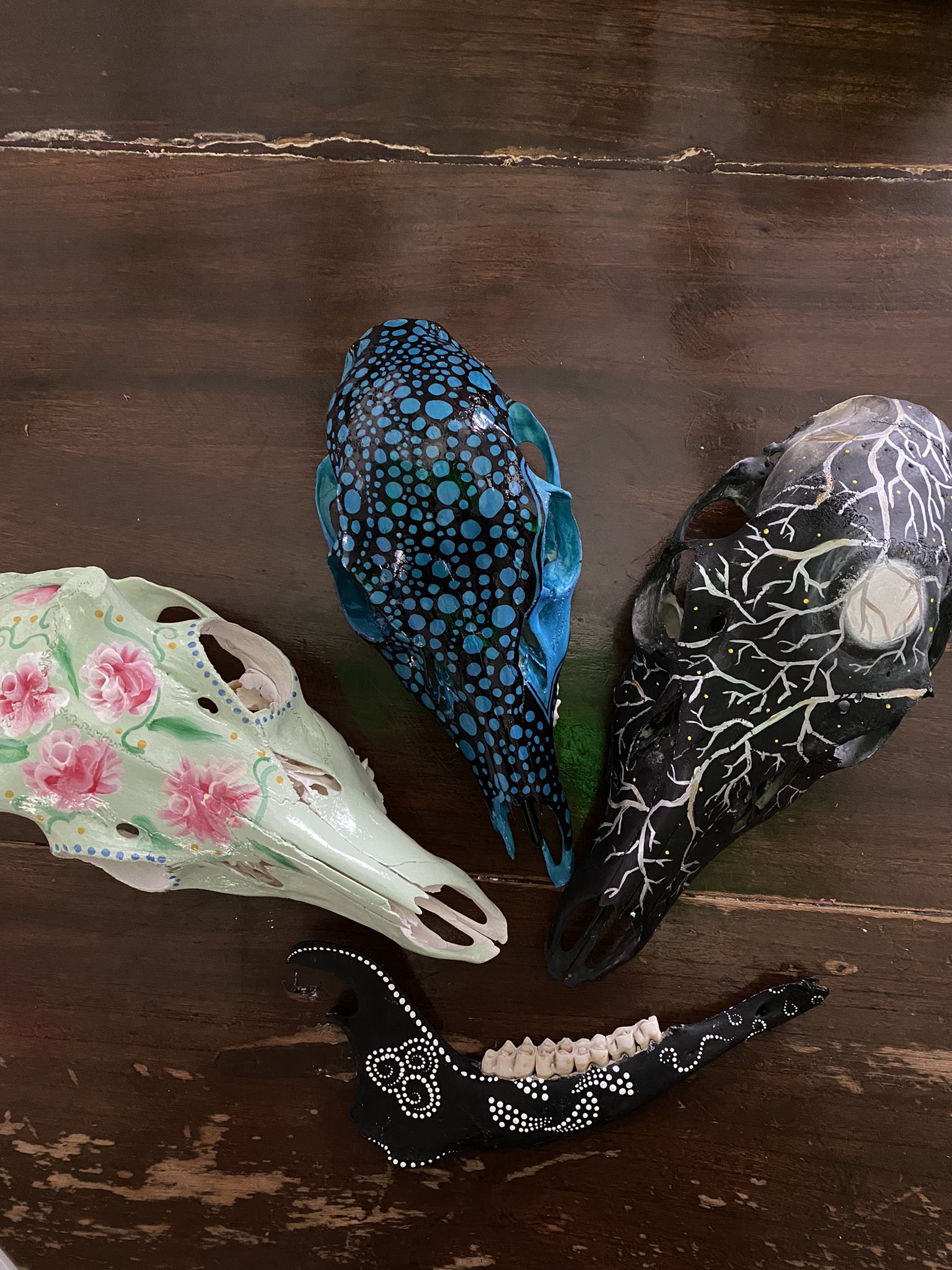 鹿の頭蓋骨 Twitter Search Twitter