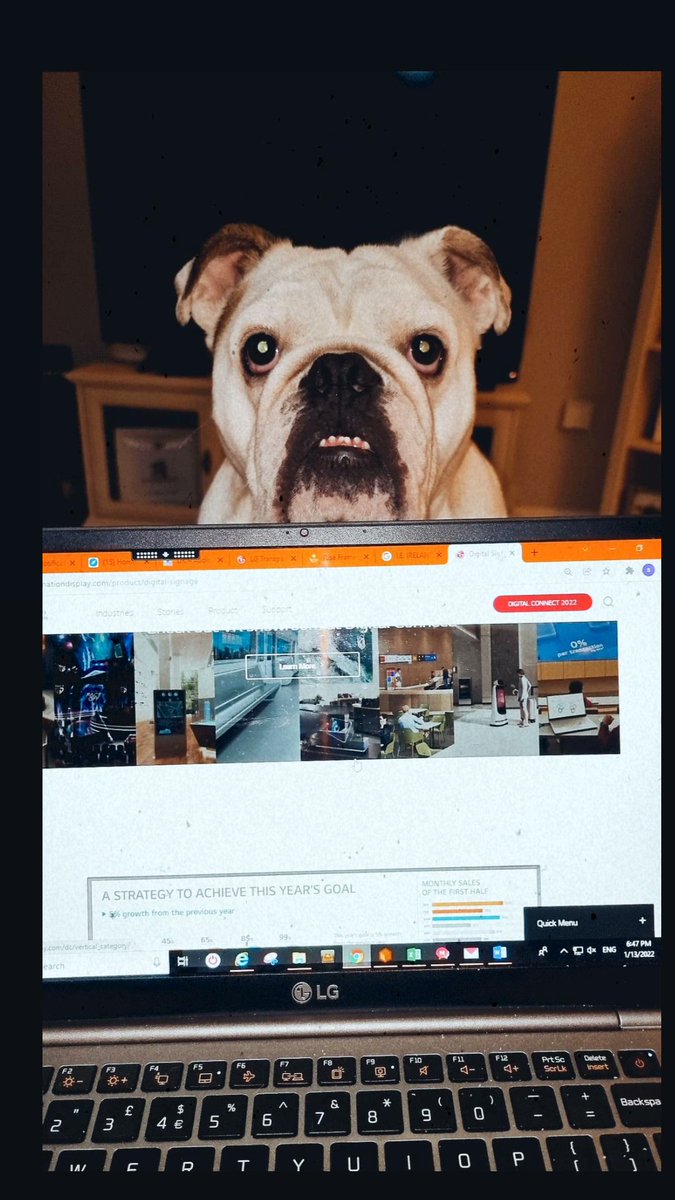 SammiBews's tweet photo. Ever get the feeling you are being watched 👀 

#Avtweeps #BigReg #Dogwatch https://t.co/UDXv721Q6V