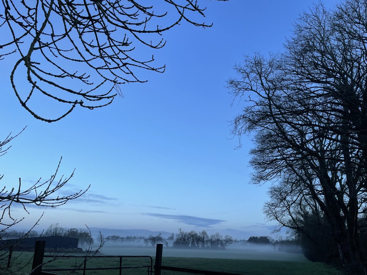 Norma Carr - Raising Vibrations tweet media