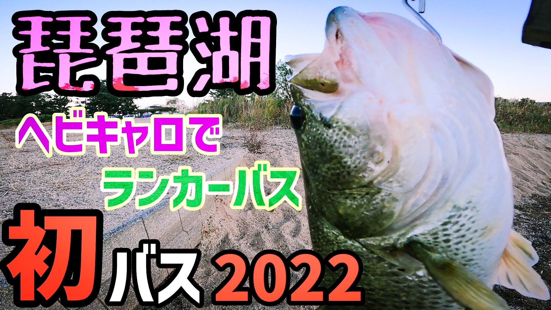 琵琶湖ヘビキャロ Twitter Search Twitter