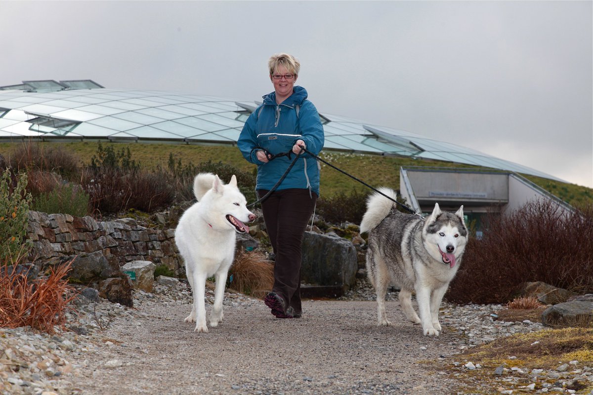 walesbotanic's tweet image. Mae'n Ddiwrnod i Chi a'r Ci  heddiw (dydd Gwener).
Mae'n ddiwrnod oer ble mae'r awyr las yn berffaith ar gyfer archwilio'r Ardd Fotaneg gyda'ch ffrindiau pedair coes. Yn bendant tywydd ar gyfer cwn hysgi . . .

🐕‍🦺🐩🦮

 #GarddCymru #cwn #tirwedd #SirGaerfyrddin #Cymru  #568erw