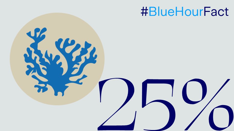 zurich_de's tweet photo. 25 Prozent aller Meereslebewesen leben in Korallenriffen, die durch Umwelt- und Klimaeinflüsse vom Aussterben bedroht sind. Die #PlanetHeroAward-Sieger von rrrreefs bauen mit innovativen Tonmodellen kaputte #Riffe wieder auf. Mehr dazu gibt es hier👉 https://t.co/3UrLKfpiJy https://t.co/94j91lp1fL