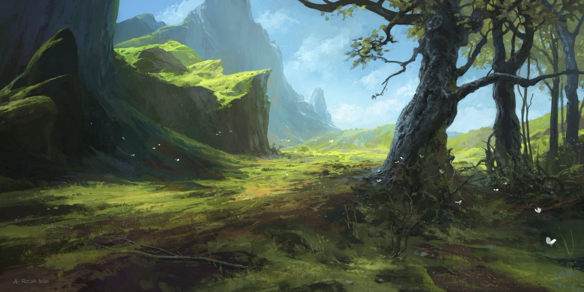 andreas_rocha's tweet photo. Late #PortfolioDay https://t.co/t6cXyAAtjl