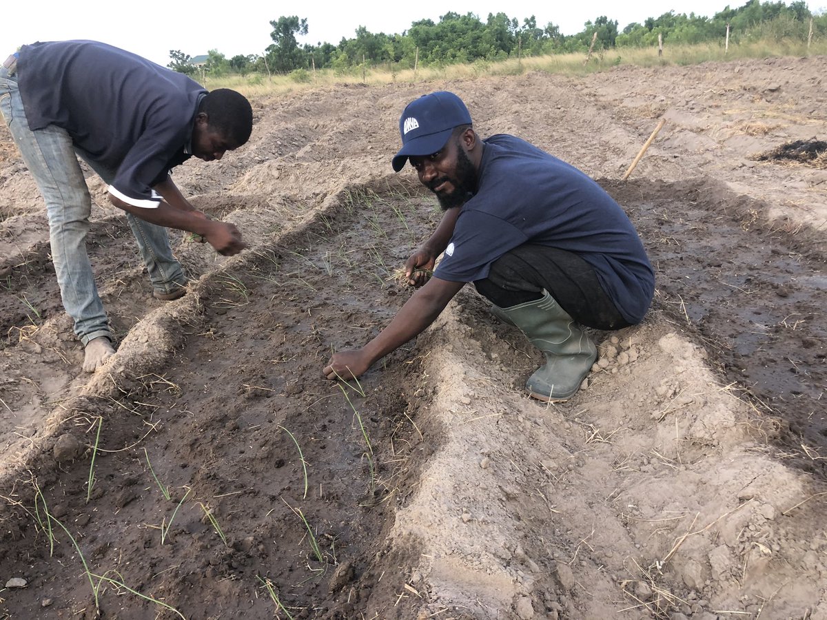 African Food Changemakers tweet media
