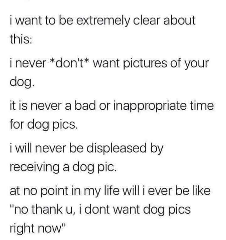 CrunchyBabe's tweet image. #iheartdogs