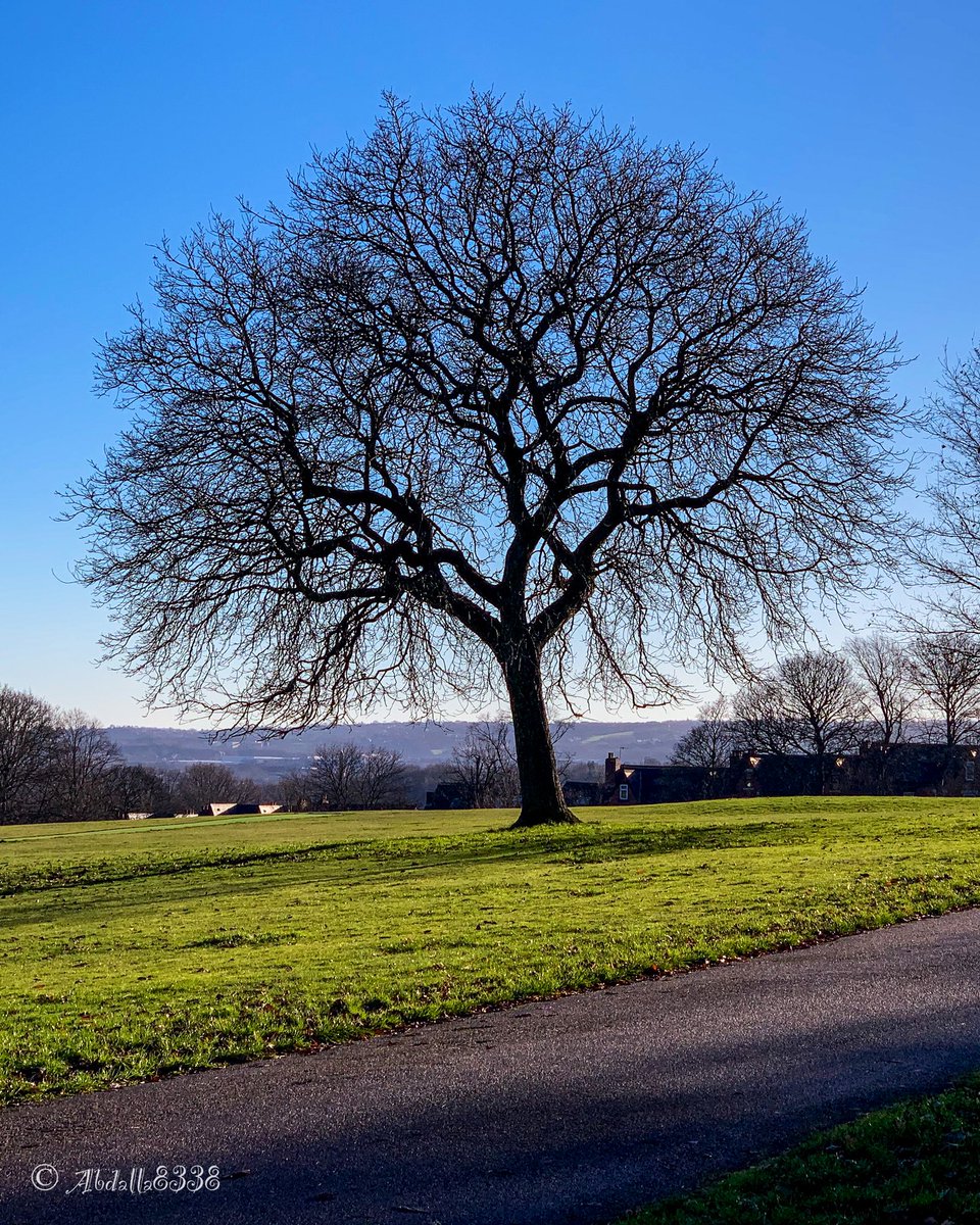 #PhotoFriday Photo from yesterday walk through Firth Park.
————————————————
@Sheff_HousingCo #Sheffield #ParksSheffield #FirthPark #TheOutdoorCity