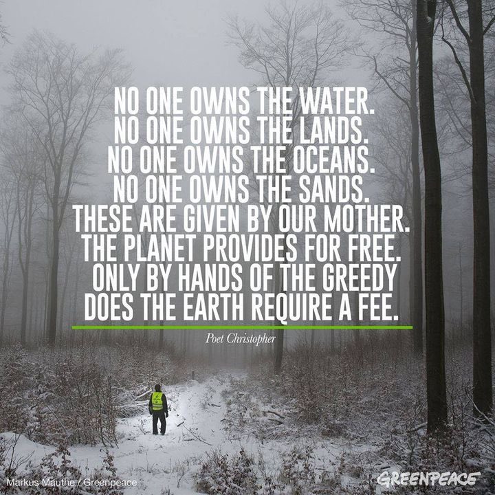 hanadsch's tweet photo. Mother Earth gifts are not ours to abuse
#planet #trees #ClimateCrisis #ClimateEmergency https://t.co/q42X0hpTEt
