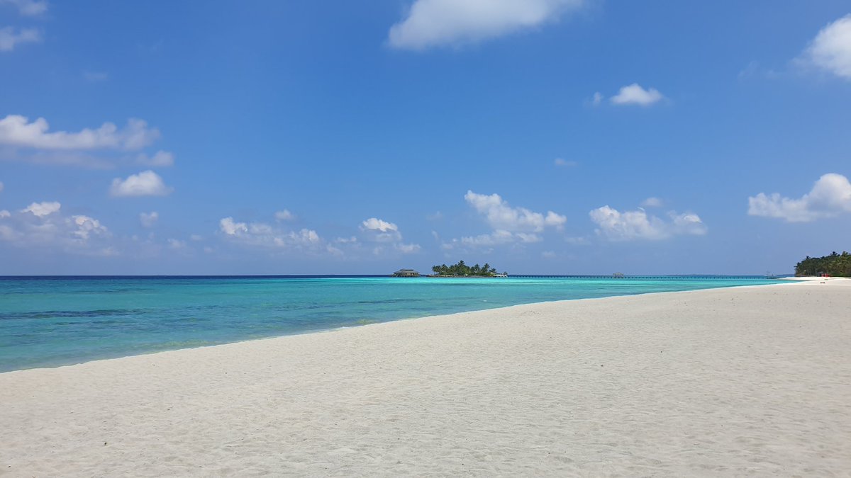 reinasoly's tweet photo. Vill inte vara någon annanstans 🏝
#NoFilterNeeded #Maldiverna https://t.co/KT4YULzgS4
