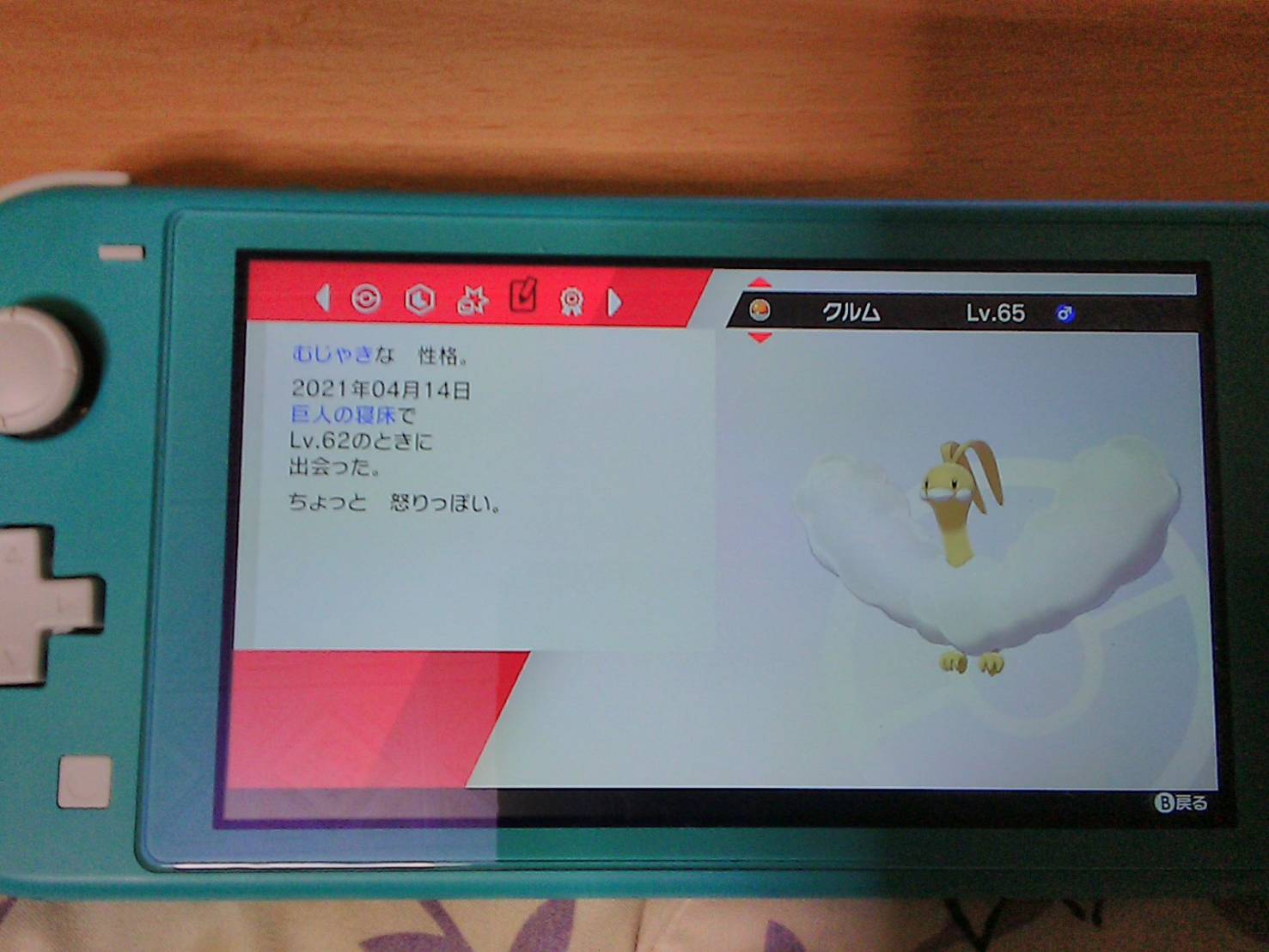 Eve ダイパやりながら 剣盾で色違い厳選用に別垢作ったんだがココガラ中々出なくて ふっと 本垢で証チェックしてたらさ 雪原でホント偶然ぶつかった色違いチルット 進化済み がまさかの証持ちだった この時 ニンフィア探してたん