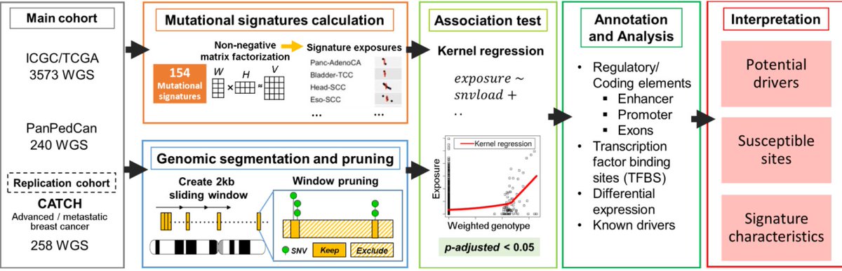 NatureComms's tweet photo. @marczapatka and colleagues present sigDriver, a tool to find associations between #MutationalSignatures and variant hotspots in order to predict coding and non-coding #CancerDrivers in #cancer #genomics data

@NatResCancer #CancerResearch

https://t.co/mB5G1uyQvd https://t.co/RJ7V0teQgr