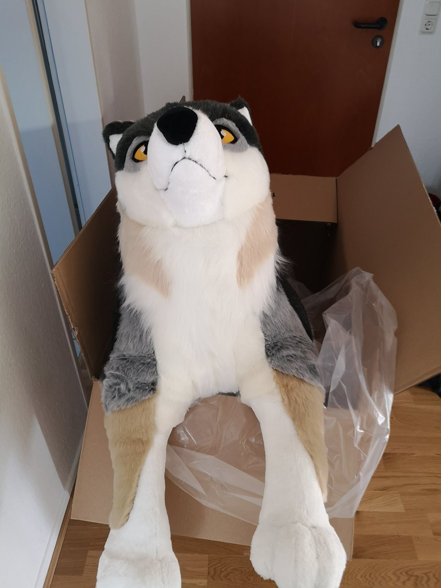 IceColdWulf's tweet photo. A new friend arrived!
... and she's already taking up the whole bed, send help! D:
Thank you so much @PlushLife_eu, I love her already :3 https://t.co/5FhQrYQyr7