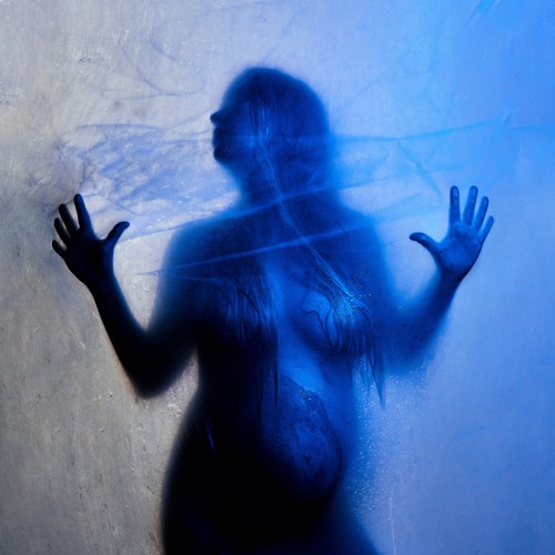 alfitude tweet media