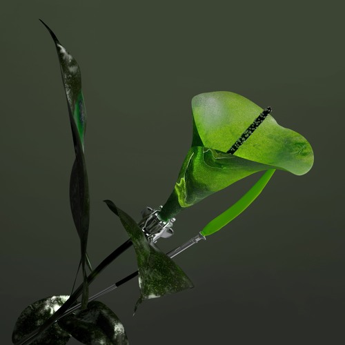 alfitude tweet media